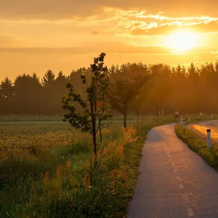 Apartment Zala With Jacuzzi - Happy *